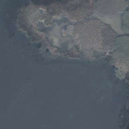 Satelita