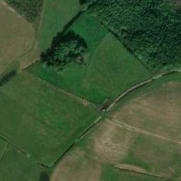 Satellite imagery of Kienhorst, DE