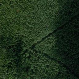 Satellite imagery of Wurzelberg, DE