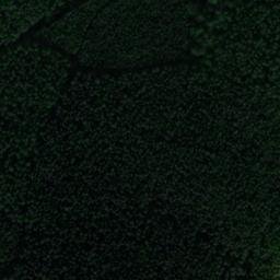 Satellite imagery of Wurzelberg, DE