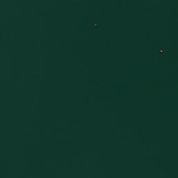 Satelita