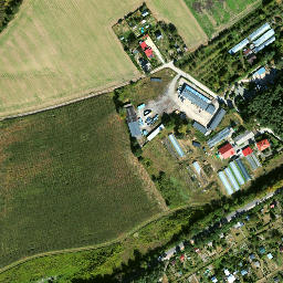 Satelita