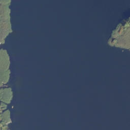 Satelita