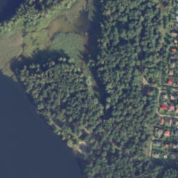 Satelita