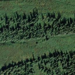 Satellite imagery of Wolverine Mountain, CA