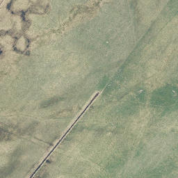 Satellite imagery of TP, DE