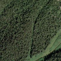 Satellite imagery of Wolverine Mountain, CA