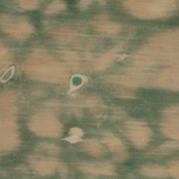 Satellite imagery of Dragonerberg, DE