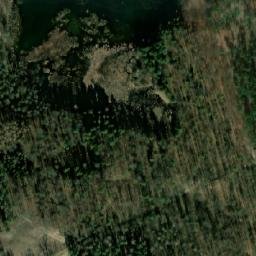 Satelita