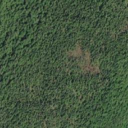 Satellite imagery of Pilot Point, CA