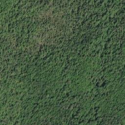 Satellite imagery of Pilot Point, CA