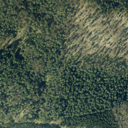 Satellite imagery of Weisheitsstein, DE