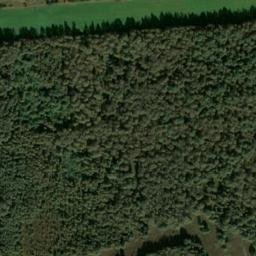 Satellite imagery of Naturschutzgebiet Großes Everstorfer Moor, DE