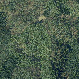Satellite imagery of Weisheitsstein, DE