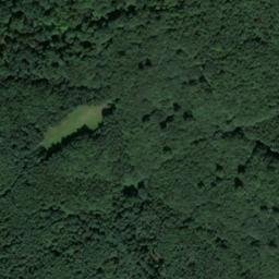 Satellite imagery of Dachsberg, DE