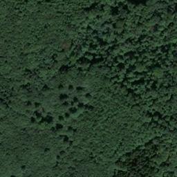 Satellite imagery of Dachsberg, DE
