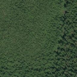 Satellite imagery of Trivett Point, CA