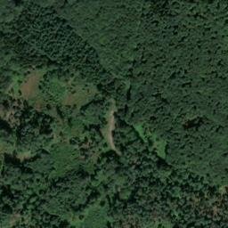 Satellite imagery of Dachsberg, DE