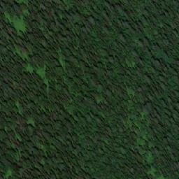 Satellite imagery of Бол. Ортон, RU