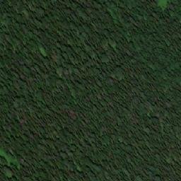 Satellite imagery of Бол. Ортон, RU