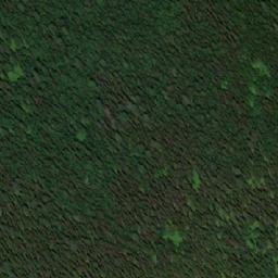 Satellite imagery of Бол. Ортон, RU