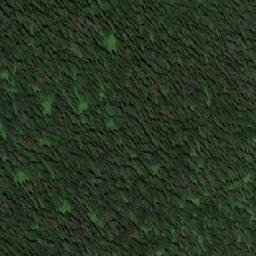 Satellite imagery of Бол. Ортон, RU