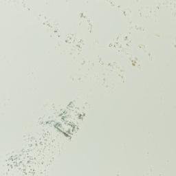 Satellite imagery of The Arrowhead, CA