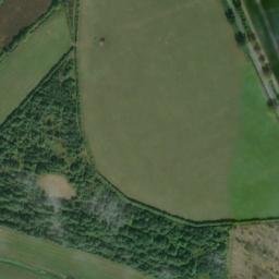 Satellite imagery of Goltho Manor, GB