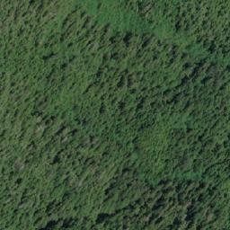 Satellite imagery of Maple Point, CA