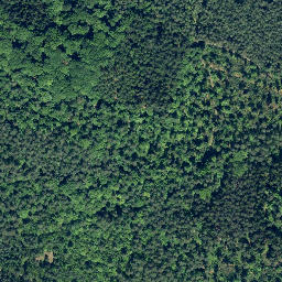 Satellite imagery of Großer Rehberg, DE
