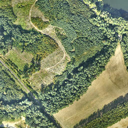 Satelita