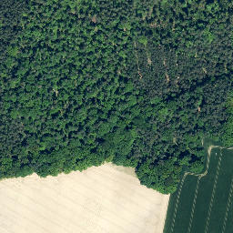 Satellite imagery of Großer Rehberg, DE