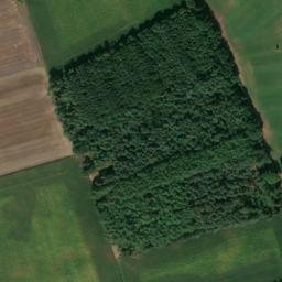 Satellite imagery of Großer Rutenberg, DE