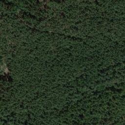 Satellite imagery of Hamberg, DE