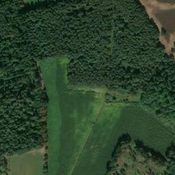 Satellite imagery of Großer Rutenberg, DE
