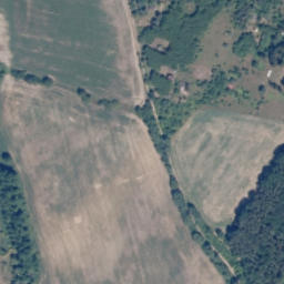 Satelita