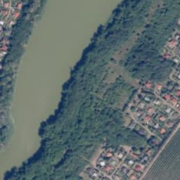 Satelita