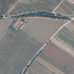 Satelita