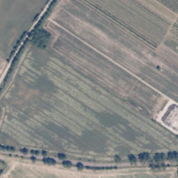 Satelita