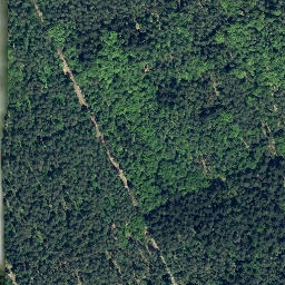 Satellite imagery of Steinhöhe, DE