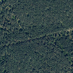 Satellite imagery of Elmsberg, DE