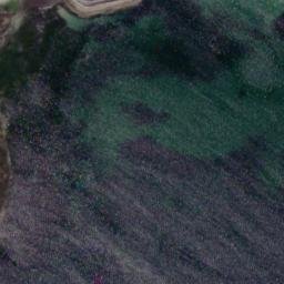 Satellite imagery of Carrickanoge, IE