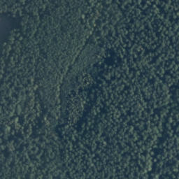 Satelita