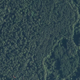 Satelita