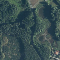 Satelita