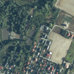 Satelita