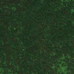 Satellite imagery of Федоровка, RU