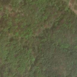 Satellite imagery of Dachsberg, DE