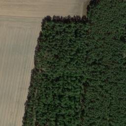 Satellite imagery of Thronberg, DE