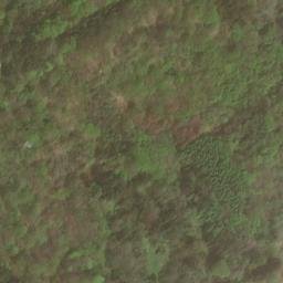 Satellite imagery of Dachsberg, DE